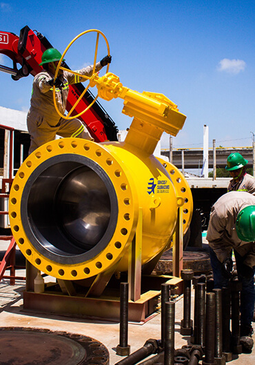 Instalaciones Industriales Valmet